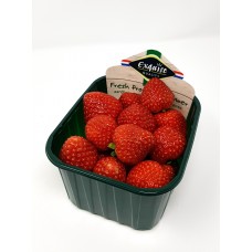 Erdbeeren 500gramm (TASSE)